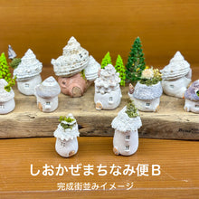 Load image into Gallery viewer, しおかぜまちなみ便〜毎月届く小さなお家(送料込み)