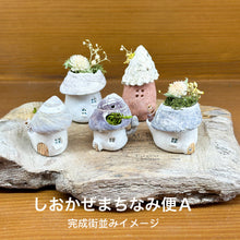 Load image into Gallery viewer, しおかぜまちなみ便〜毎月届く小さなお家（送料込み）
